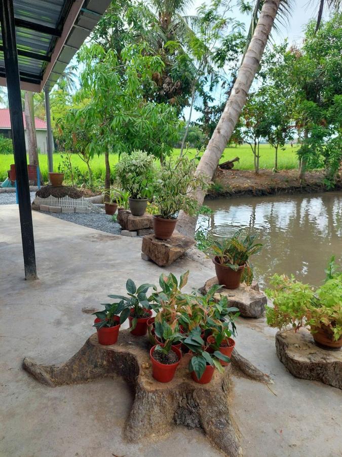 Pink Homestay D'Perlis Kangar Eksteriør bilde