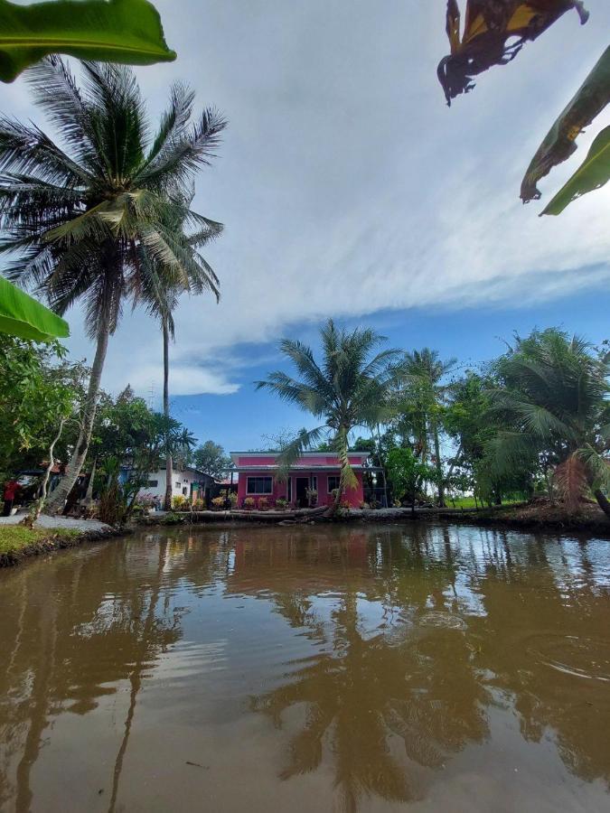 Pink Homestay D'Perlis Kangar Eksteriør bilde